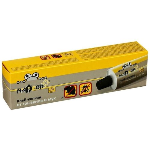 ���� ���� �� �������� 