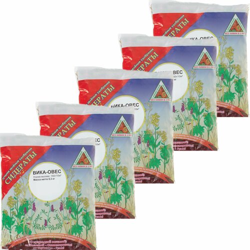 ���� ������� 