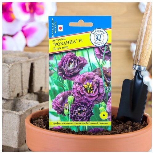 ���� ������ ������ ������� 