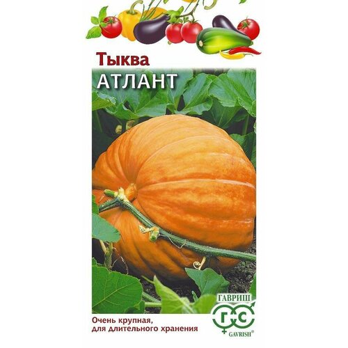 ���� ������ ����� ������ 2,0� (������), ������ �� 43 ���