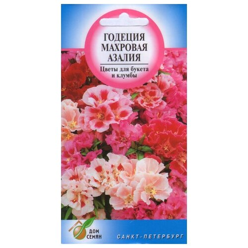 ���� ������� ������, ��������, 200 �����, ������ �� 230 ���