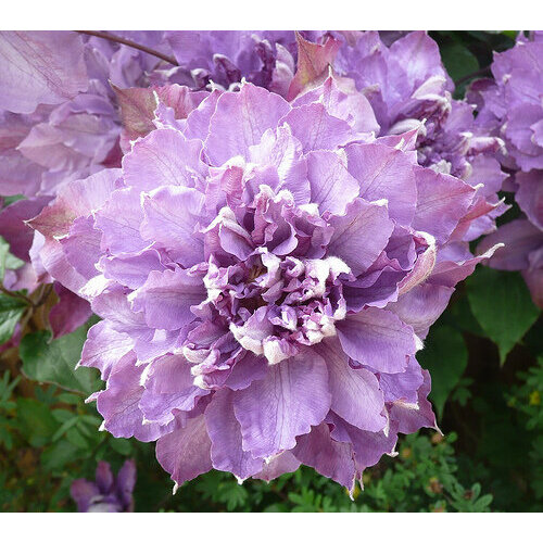 ���� ������ �������� ��������������� ������ ������ 0,05 � (1 ��������), ������ �� 403 ���