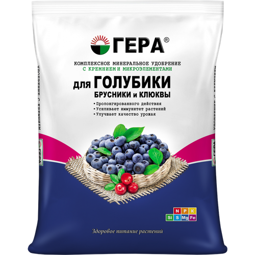 ���� ��������� � �������� ���� ��� �������� 0,9��, ������ �� 242 ���