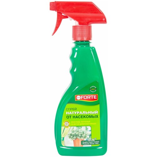 ���� ����������� ������������� �������� �� �������� ���������-���������� ����� Bona Forte 500 ��, ������ �� 560 ���