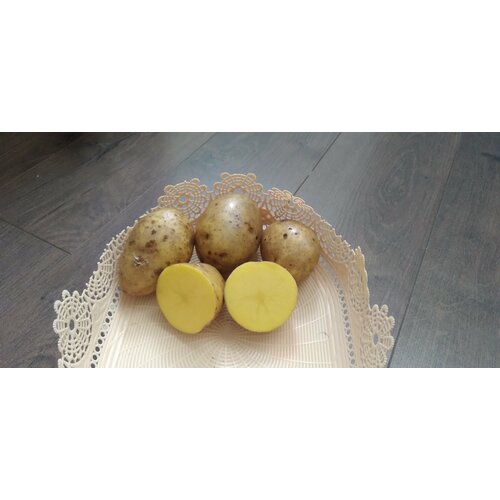 ���� ��������� �������� ����, ���� �����, ������, ���������� ����, 1 ��, ������ �� 368 ���