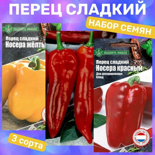 ���� ����� ����� ����� ��������/ ������ ������, ������ �������, ���� �� ����, ������ �� 379 ���