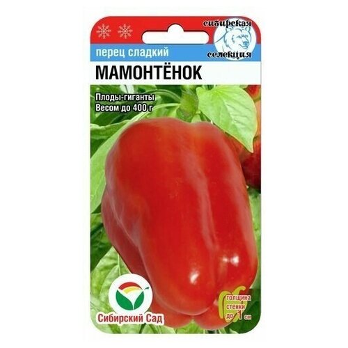 ���� ����� ������� ���������� 15�� ����� ��������� ���, ������ �� 130 ���