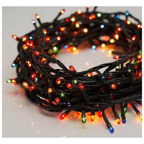 ���� �������� ���������� 