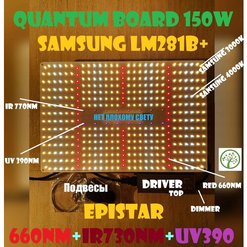      150   Quantum board ( ) SL1000pro,   LM281B+    ,   8999 