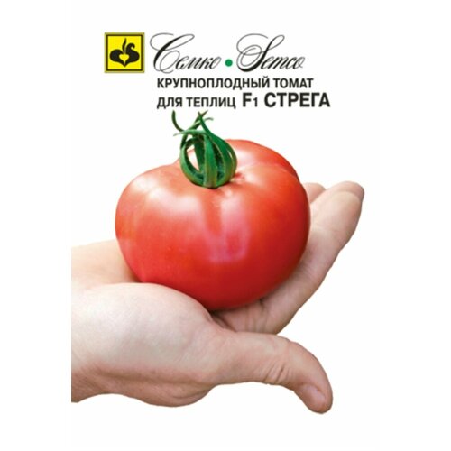 ���� ������ ����� ������ F1 5�� ����� ������ (�����), ������ �� 210 ���