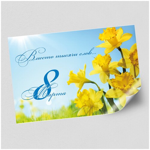  /   8  / -3 (42x30 .),   435 