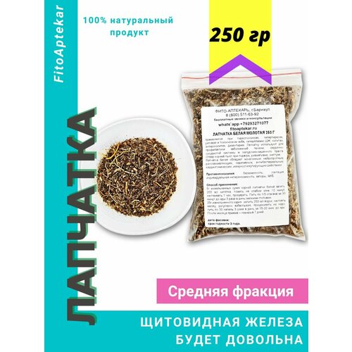 ���� �������� ����� 