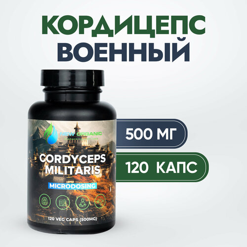 ���� ��������� ������� (�������� ����)-120������ �� 500��, ������ �� 1052 ���