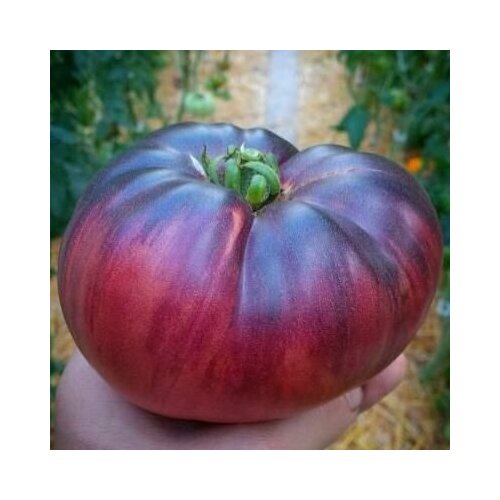 ���� ������������� ������ ������ ��������� ����, ������ �� 127 ���