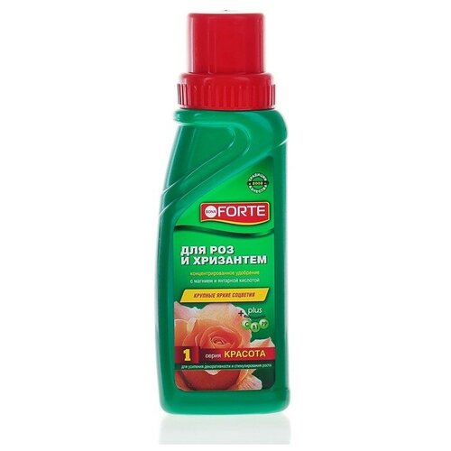 ���� ��������� ��� ��� ���� ������ � ��������� Bona Forte, ������, 285 ��, ������ �� 350 ���