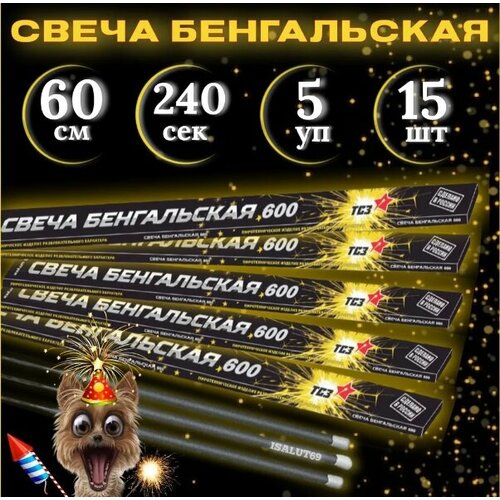 ���� ����������� ����� ��� 60, 5 �������� �� 3 �����, 15 ����, ����� ������� 240 ������, ������ �� 2600 ���