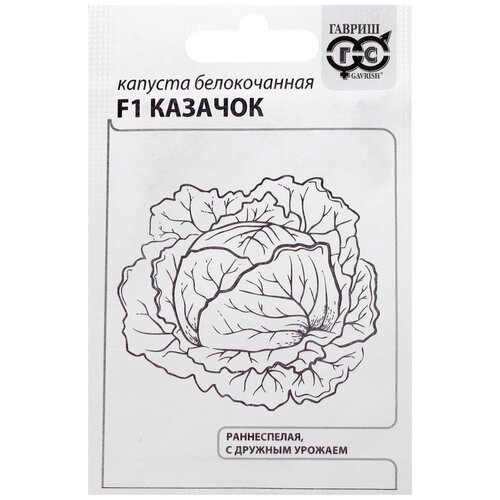 ���� ������ ������� ������������ 