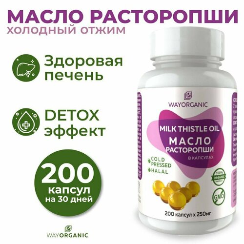 ���� ����� ���������� � �������� , ���������� ������� �����, ������ �� 410 ���