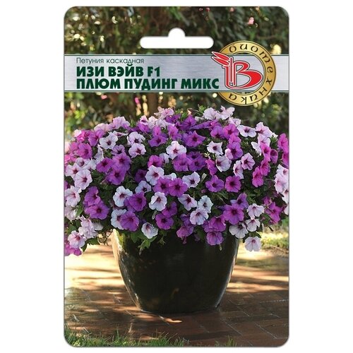 ���� ������ ������� 