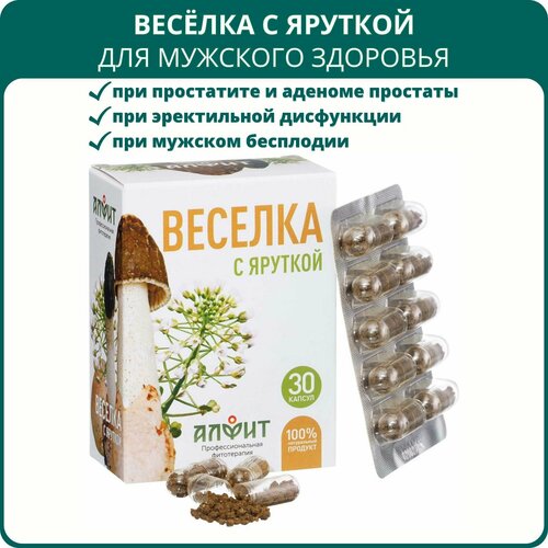 ���� ������ � �������, 30 ������. ��� �������� ��������, ����������, ������ � ��������, ������ �� 735 ���