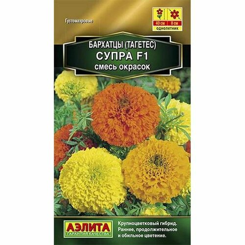    ,  F1, . () () 10,   73 