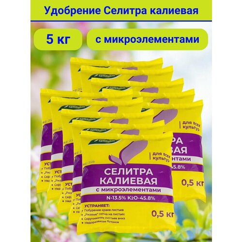 ���� ��������� ������� �������� � ���������������, 5 ��. 10 ��������, 1 �������� - 0,5 ��., ������ �� 1645 ���