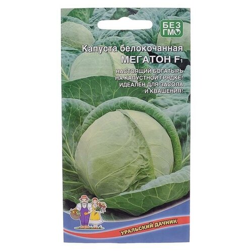 ���� ������ ������� ������������ 