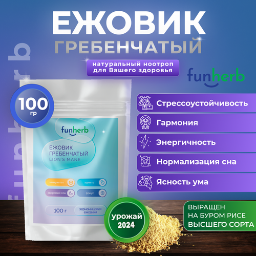 ���� ������ ����������� ������� �������, ������ �� 817 ���