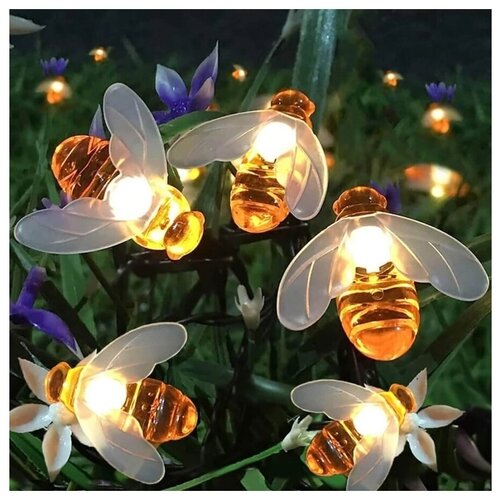 ���� �������� ����������� / �������� ������ 5 ������ / ���������� ��������� / �������� �� ���� / ���� 5�, ������ �� 777 ���