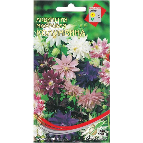 ���� ��������� ����������� �������� ���������, 35 �����, ������ �� 62 ���