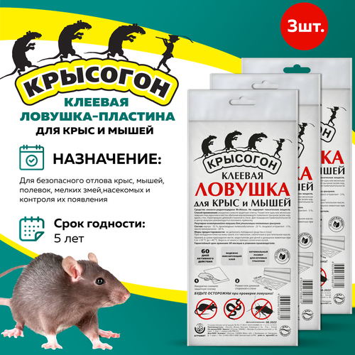 ���� �������� �������� ������� �������-�������� ��� ����� � ����, 3 ��, ������ �� 348 ���