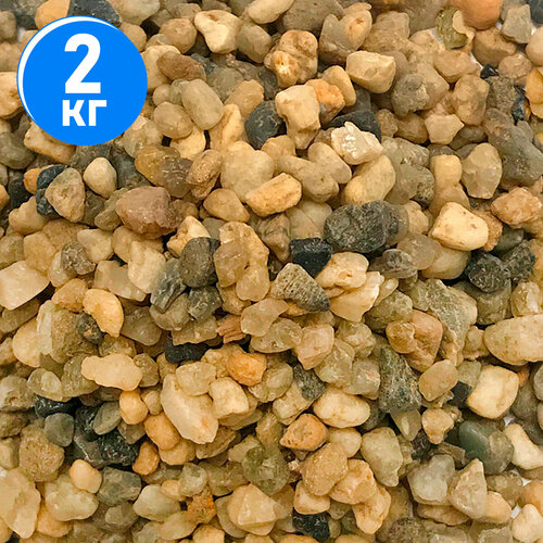 ���� ����������� ����� ��� ��������, ����������� � �������� Zoo One, ��������� �������� 