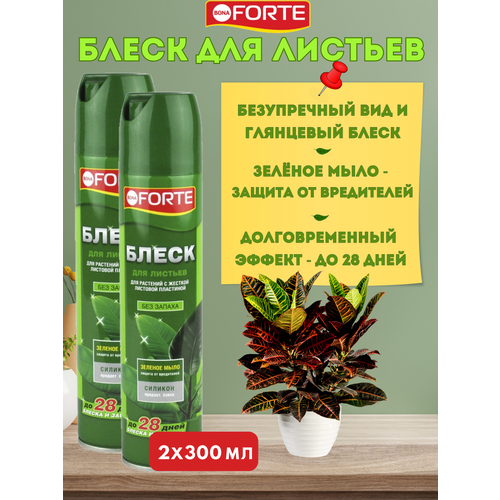 ���� ����� ��� ������� Bona Forte ��� ��������� � ��������� ������, � ������� �����, 2�300��, ������ �� 820 ���