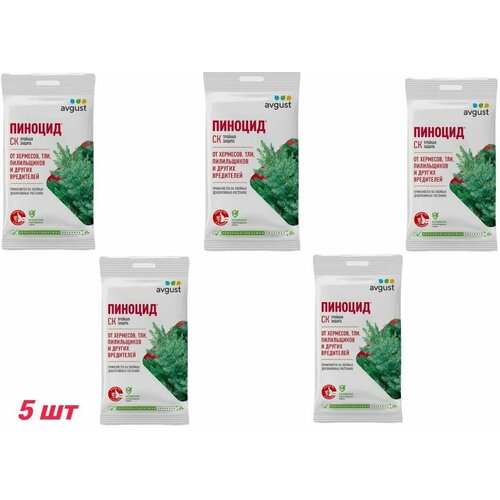 ���� ������� Avgust 2 �� �������� ������ ��������� ���������� �� ������� ��������� 5 ��, ������ �� 330 ���