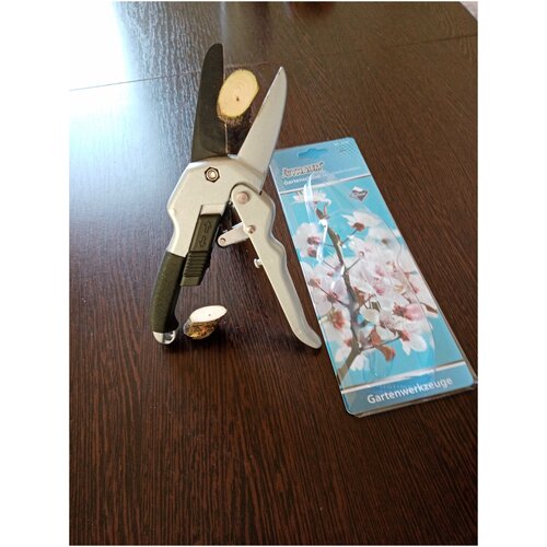 ���� ����-������� �� ��������, ������ �� 2200 ���