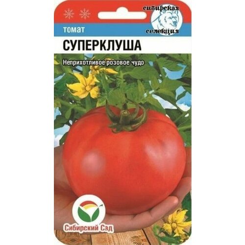 ���� ������ ����� ���������� 20�� ��� (��������� ���), ������ �� 64 ���