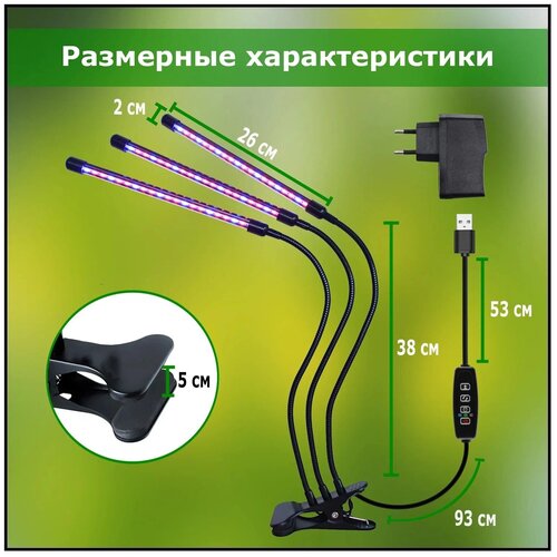 ���� ��������� ��� �������� 3 ������ ��������, 3 ������������ ����������� ��� ��������, �������������� �� ��������, ���� ����� ��� �������, ������ �� 1237 ���