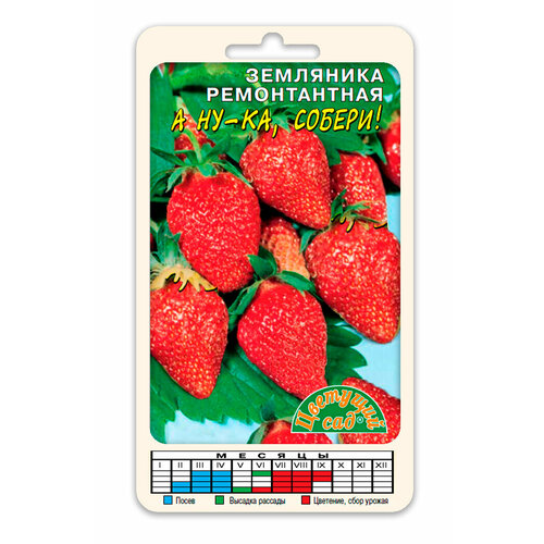 ���� ��������� 