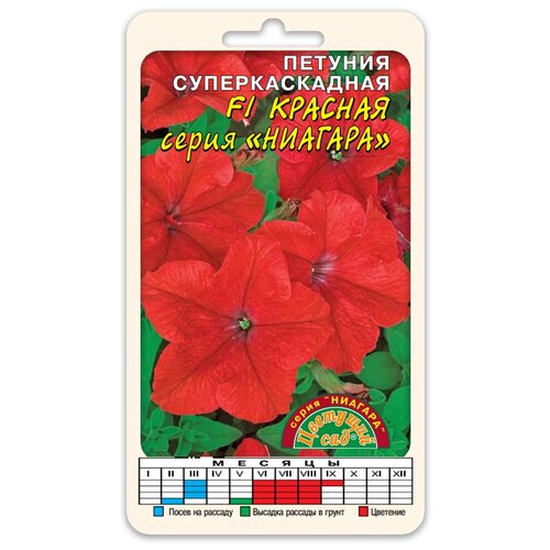 ���� ������ �������� ��� 