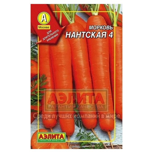 ���� ������� ������� 