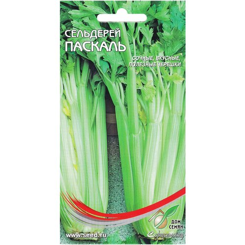 ���� ��������� ���������� �������, 850 �����, ������ �� 244 ���