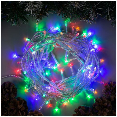 ���� �������� 