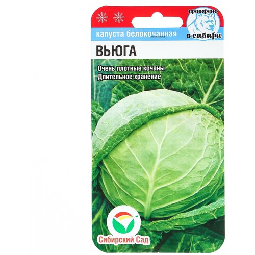 ���� ������ ������� 