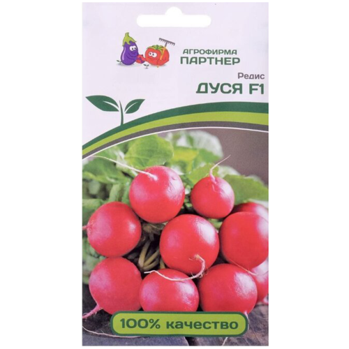 ���� ������ ����� ���� F1 1��., ������ �� 203 ���