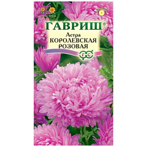 ���� ������. ����� ����������� 