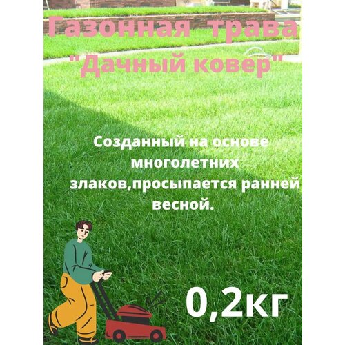 ���� �������� ����� 