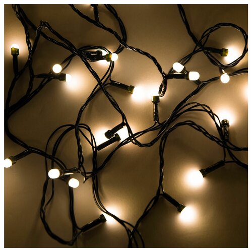 ���� �������� ������������ 