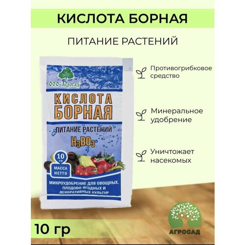 ���� �������� ������ �������� �� �������� ������� ������, ������ �� 150 ���