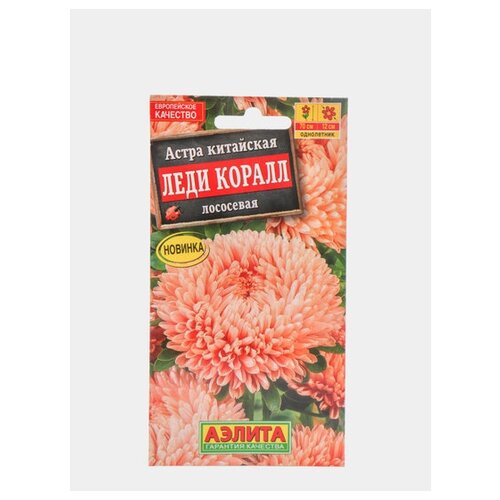 ���� ������. ����� 