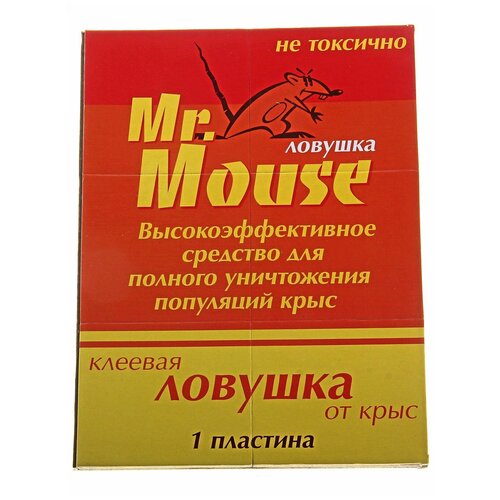 ���� �������� ������� �� ���� Mr.Mouse, ��� ��������, 1��, ������ �� 204 ���